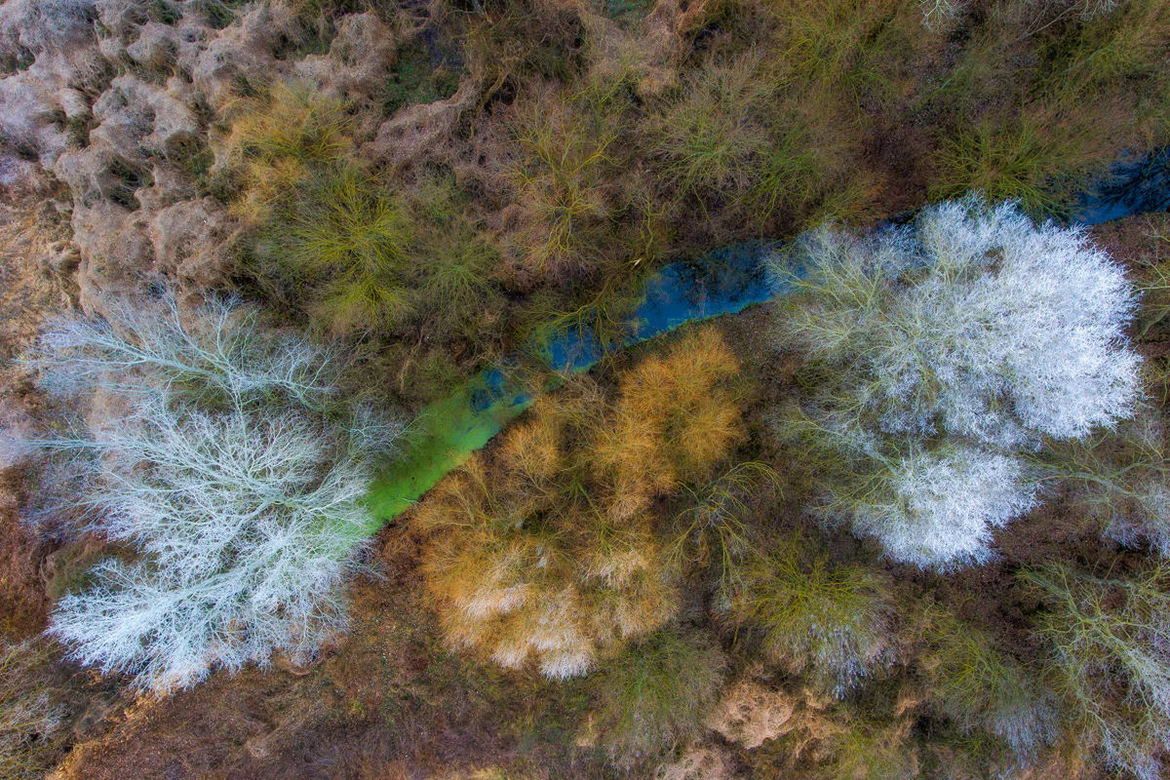 Oto najlepsze zdjęcia przyrodnicze z Europy. Zobaczcie fotografie zwycięzców konkursu GDT European Wildlife Photographer of the Year 2017 12