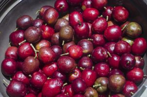 Egzotyczna śliwka, która oczyszcza organizm i wzmacnia odporność – poznaj mombin!