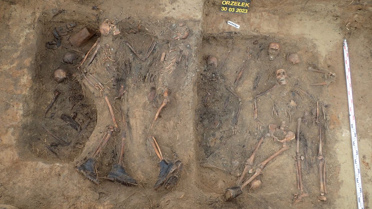 W Orzełku odnaleziono masowy grób poległych żołnierzy 