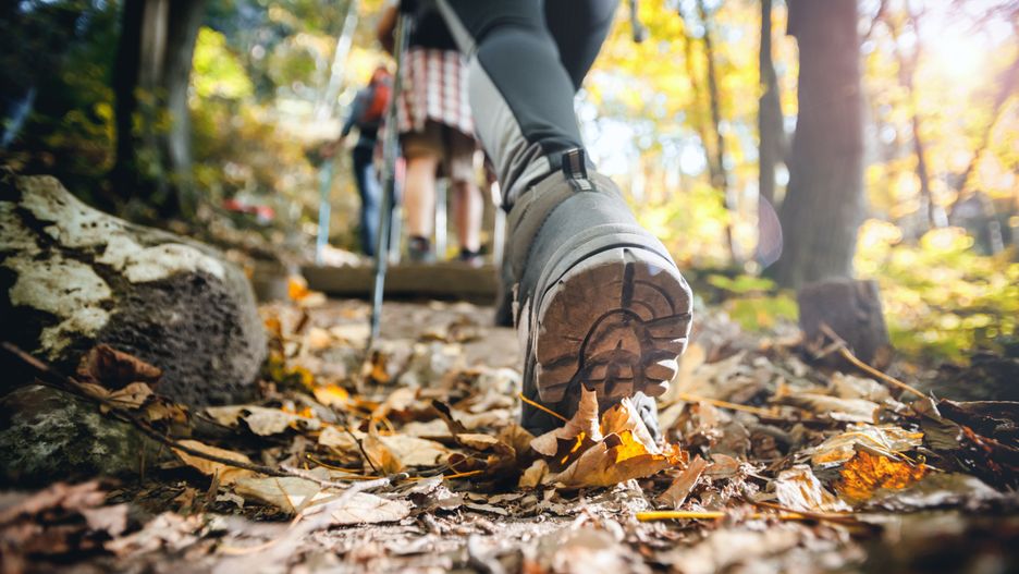 Hiker woman with trekking sticks climbs steep on mountain trail, focus on boot
group, trekking, trail, hiking, adventure, activity, mountain, travel, hike, boots, outdoor, forest, nature, vacation, hiker, shoe, foot, person, healthy, stick, legs, lifestyle, sport, backpacking, recreation, country, leisure, walking, fitness, women, trek, exercise, close, adult, woods, workout, climbing, walker, closeup, footpath, journey, equipment, tourist, walk, active, girl, path, trip, trekker, shoes, group, trekking, trail, hiking, adventure, activity, mountain, travel, hike, boots, outdoor, forest, nature, vacation, hiker, shoe, foot, person, healthy, stick, legs, lifestyle, sport, backpacking, recreation, country, leisure, walking, fitness, women, trek, exercise, close, adult, woods, workout, climbing, walker, closeup, footpath, journey, equipment, tourist, walk, active, girl, path, trip, trekker, shoes