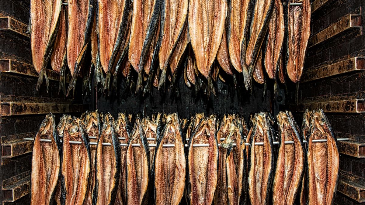 Odpowiednia dieta może zmniejszać ryzyko rozwoju raka trzustki