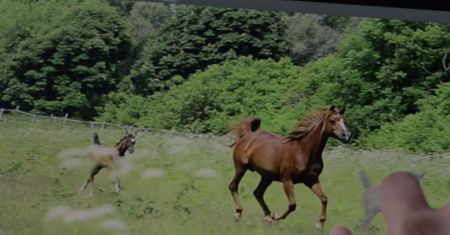 Magiczny Photoshop przyszłości pokazany na filmie
