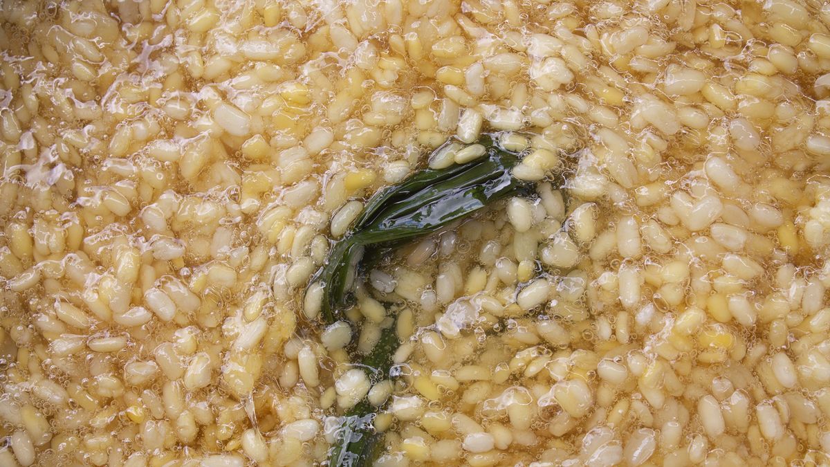 Nasiona roślin strączkowych wpływają pozytywnie na poziom cholesterolu we krwi