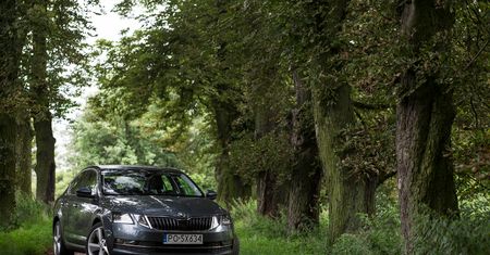 Škoda Octavia (FL) 1.4 TSI 150 KM DSG Style – test [wideo]