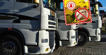 Zatrzymali 200 ton ryżu z Azji. Poszło o jeden składnik