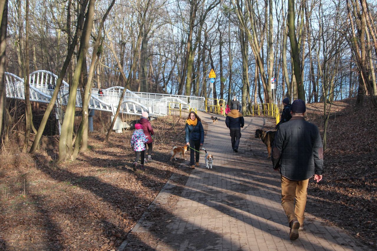 Dekalog bezpiecznego turysty. Polska Organizacja Turystyczna publikuje szereg zasad i zaleceń dla podróżnych