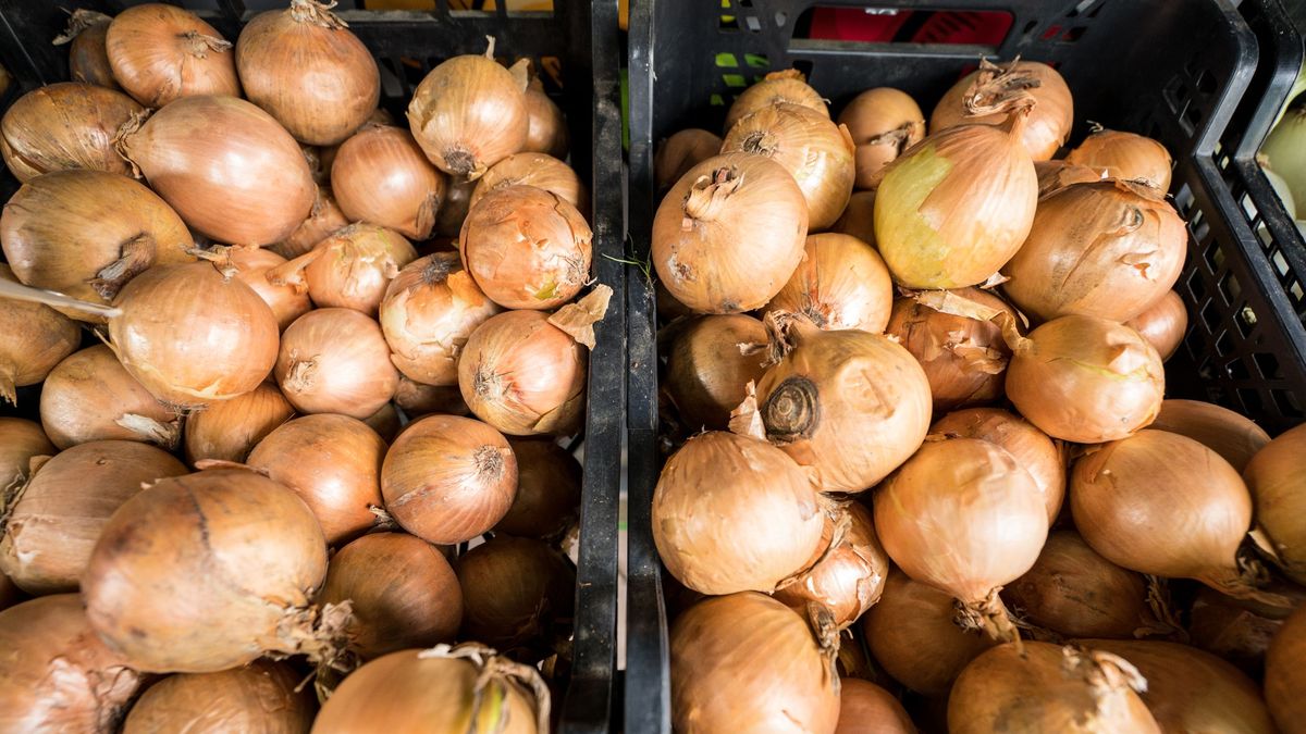 bazar warzywa cebula