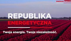 W Republice OZE to nie sr-OZE. Sprzedaż paneli fotowoltaicznych