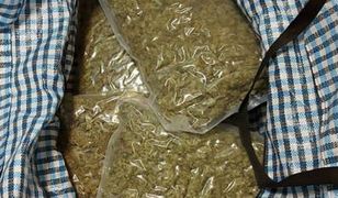 Warszawa. Taksówką przewoził 4 kilogramy marihuany