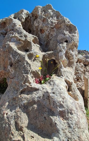 Die Tempel sind aus großen Kalksteinblöcken gebaut.