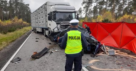 Kolejne ustalenia ws. tragicznego wypadku na DK20. Strażacy zabrali głos