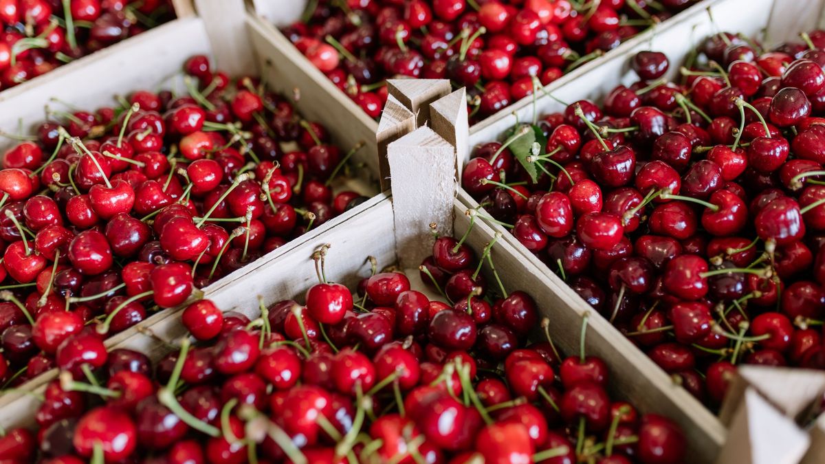 Czereśnie dobrze wpisują się w zbilansowaną dietę.