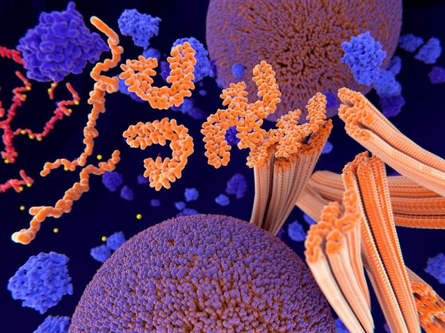 Histony to struktury białkowe obecne w chromosomach.