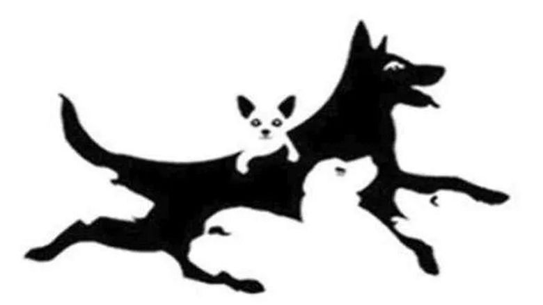 Ten test pozwoli ci na poznanie wieku twojego umysłu