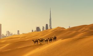 Rezygnacja z wyjazdu z obawy przed wojną. Kiedy można odstąpić od umowy?