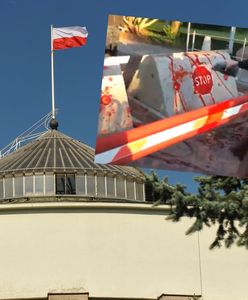 Wtargnęli na teren Sejmu. "Macie krew na rękach!"
