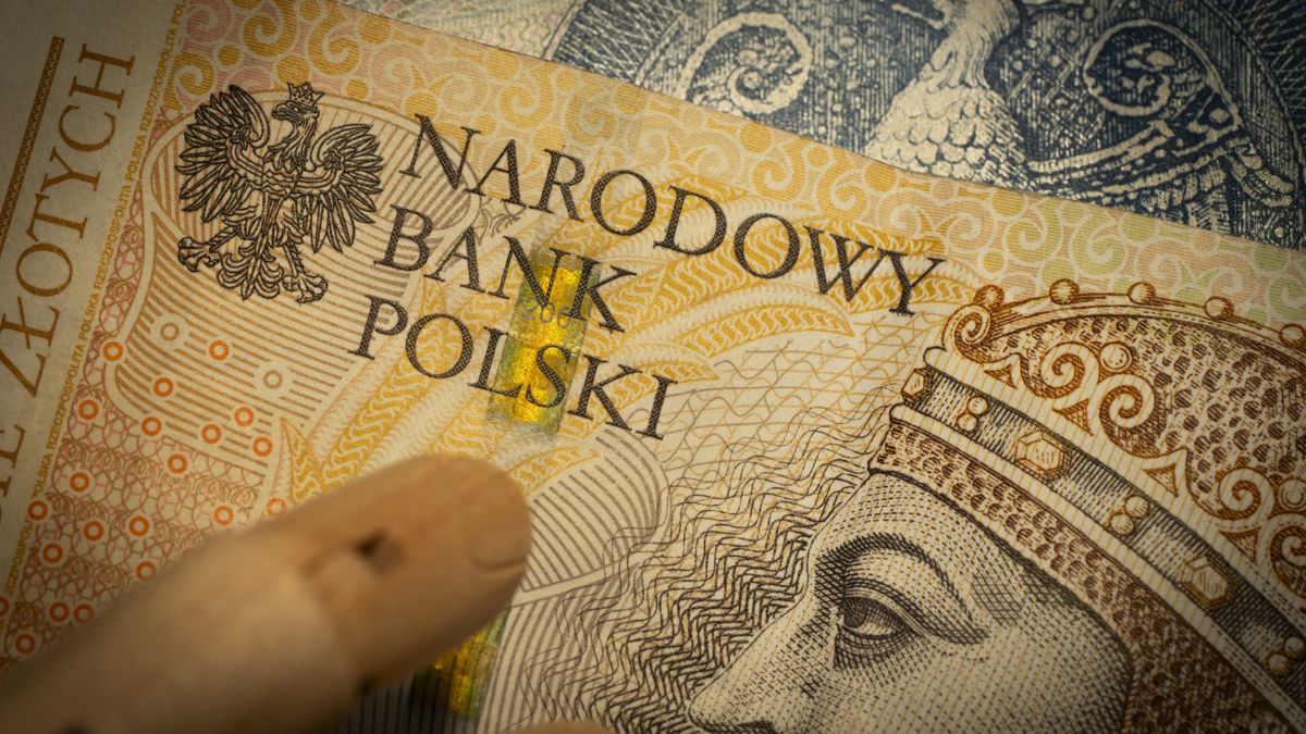 Polish zloty currency money bills are seen in this illustration photo on 15 November, 2023. (Photo by Jaap Arriens/NurPhoto via Getty Images)