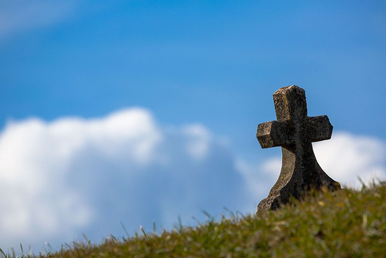 Szok w Afryce. Przekopali grządki w ogrodzie wspólnoty apostolskiej