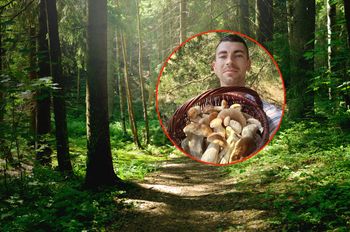 Tu grzyby już są. Ekspert zdradza miejsca i gatunki