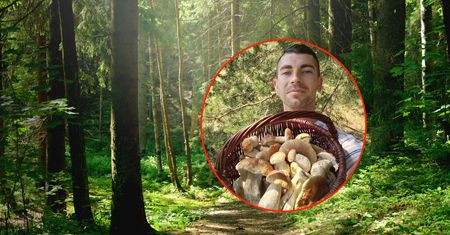Tu grzyby już są. Ekspert zdradza miejsca i gatunki