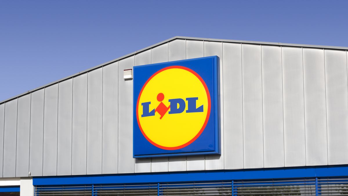 Promocje w Lidlu