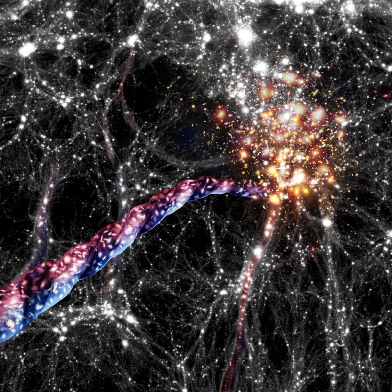 Wizualizacja włókna, czyli dynamicznego pasma kosmicznej sieci, zawierającego galaktyki i ciemną materię, rozciągającego się od jednej gromady galaktyk do drugiej. Astronomowie twierdzą, że te ogromne struktury także wirują.