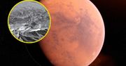 Porosty mogą przetrwać na Marsie. Obiecujące odkrycie Polaków