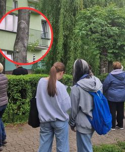 "Cud" w Parczewie. Jest oficjalne stanowisko kurii