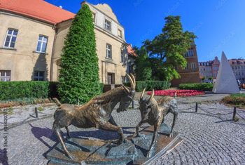 Nowe ulice na mapie Poznania. Rada Miasta zatwierdziła trzy nazwy inspirowane przyrodą i lokalnym klimatem