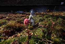 "Boże kochany". Mieszkańcy nie kryją szoku po śmierci Danusi