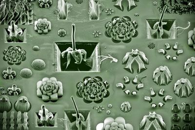 10 niecodziennych przedmiotów wykonanych za pomocą nanotechnologii 5