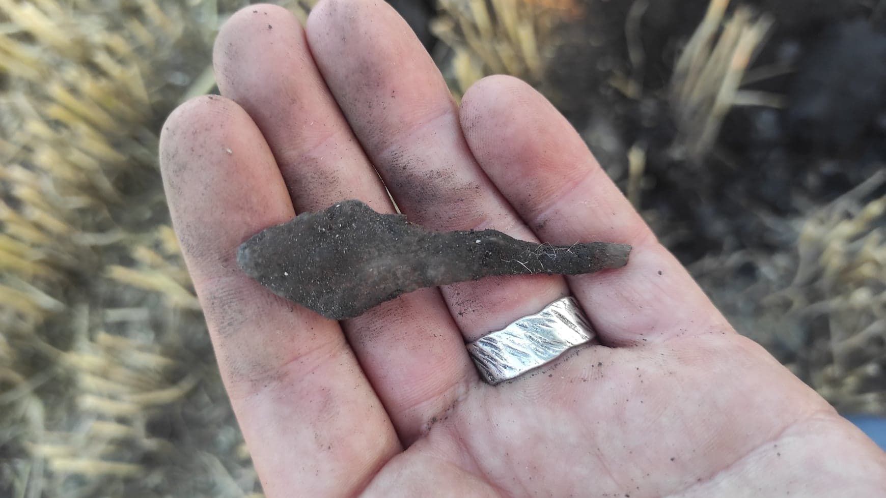 Poszukiwania archeologiczne pod Płowcami