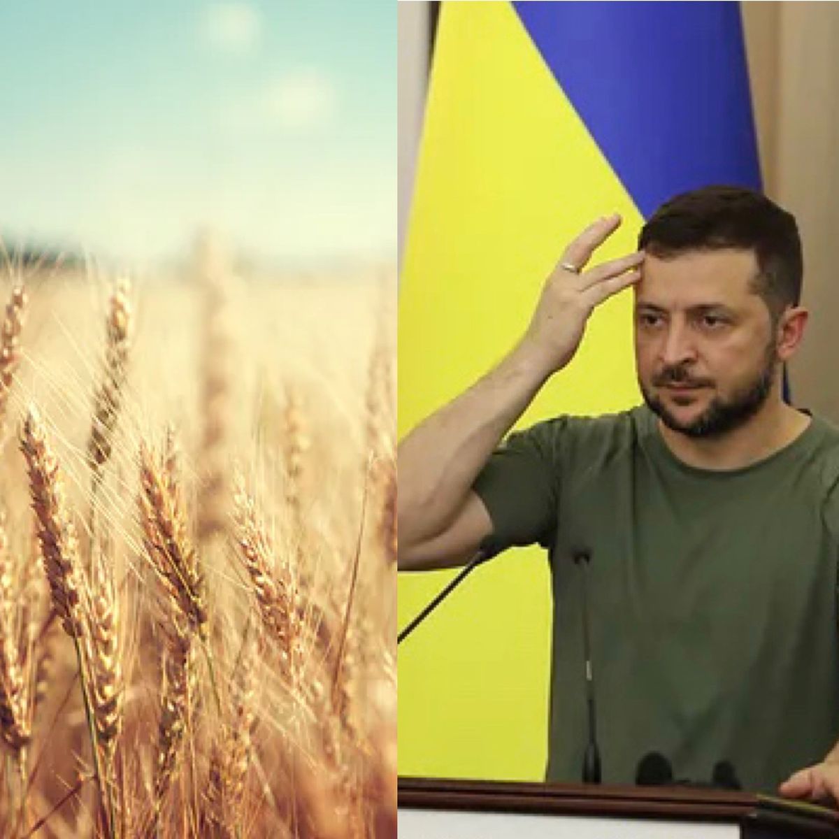 Зеленський прокоментував блокування українського зерна: "Це неприйнятно"