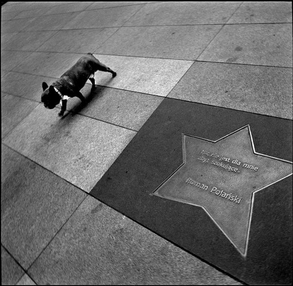 Nie licząc zabaw dziecinnych, Robert Kresa fotografuje nieprzerwanie od 1994 roku. Na pytanie o inspiracje wymienia malarstwo cywilizacji zachodniej, literaturę i filozofię.