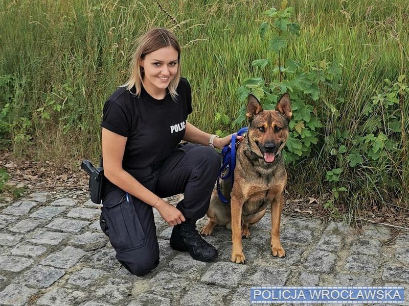 Wrocław. Orgin uratował 32-latka. Pies bohaterem