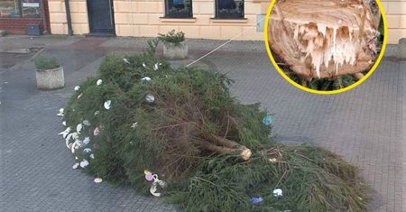 Świąteczny skandal w Lesku. Burmistrz pokazał zdjęcia