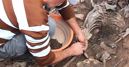 Prehistoryczne odkrycie pod ziemią. Przeleżało 3 tys. lat
