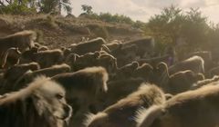 Treści wideo z kanału National Geographic w Onecie