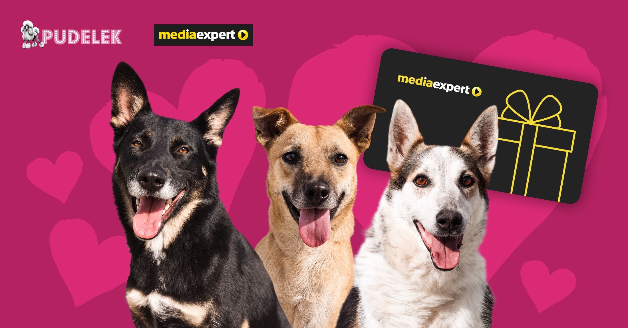 Wygraj kartę podarunkową od Media Expert