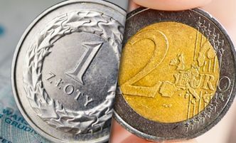 Niepewność polityczna a kurs złotego. Ekonomiści przedstawili prognozę po wyborach