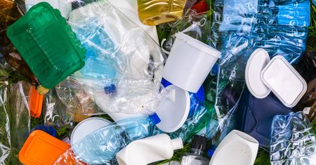 Naukowcy przejrzeli 7 tys. badań o mikroplastiku. I nie mają złudzeń: trzeba działać
