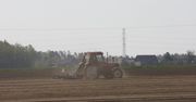 Wypłacono 9,74 mld zł w ramach dopłat bezpośrednich i obszarowych