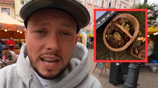 Książulo wybrał się na grzyby. Pochwalił się zbiorami