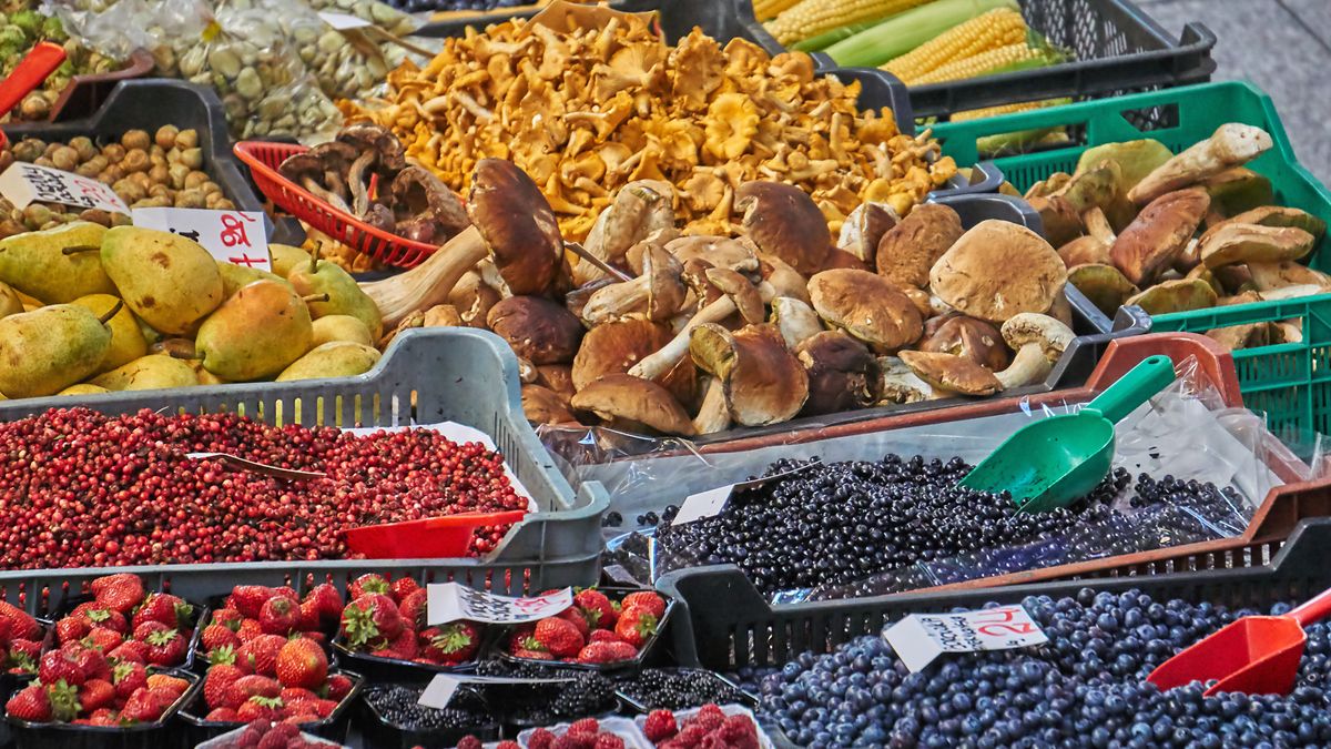 Wysokie ceny grzybów.