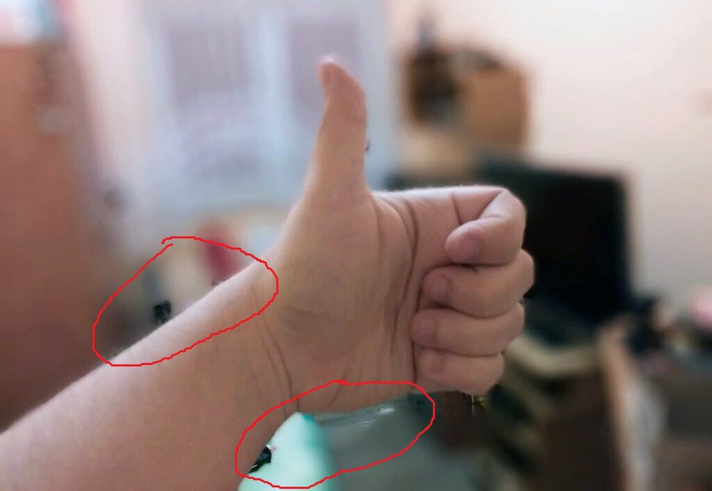 Tydzień w krzywym zwierciadle: plastikowa przyszłość HTC i jaja z Cupertino 2