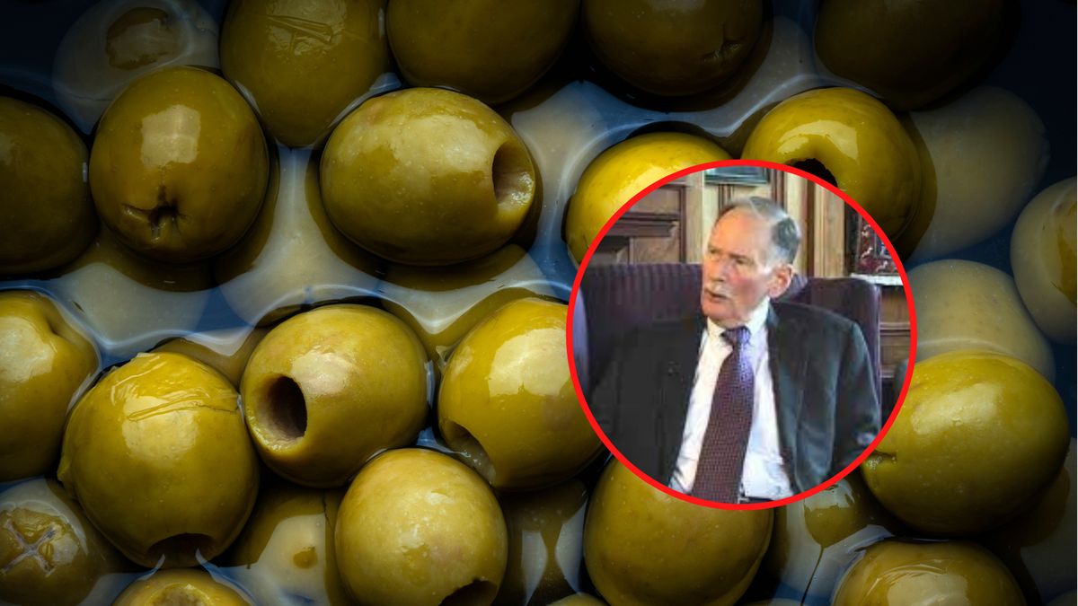 Dr Richard W. Besdine radzi: oliwki i produkowana z nich oliwa powinny na stałe zagościć w naszym menu