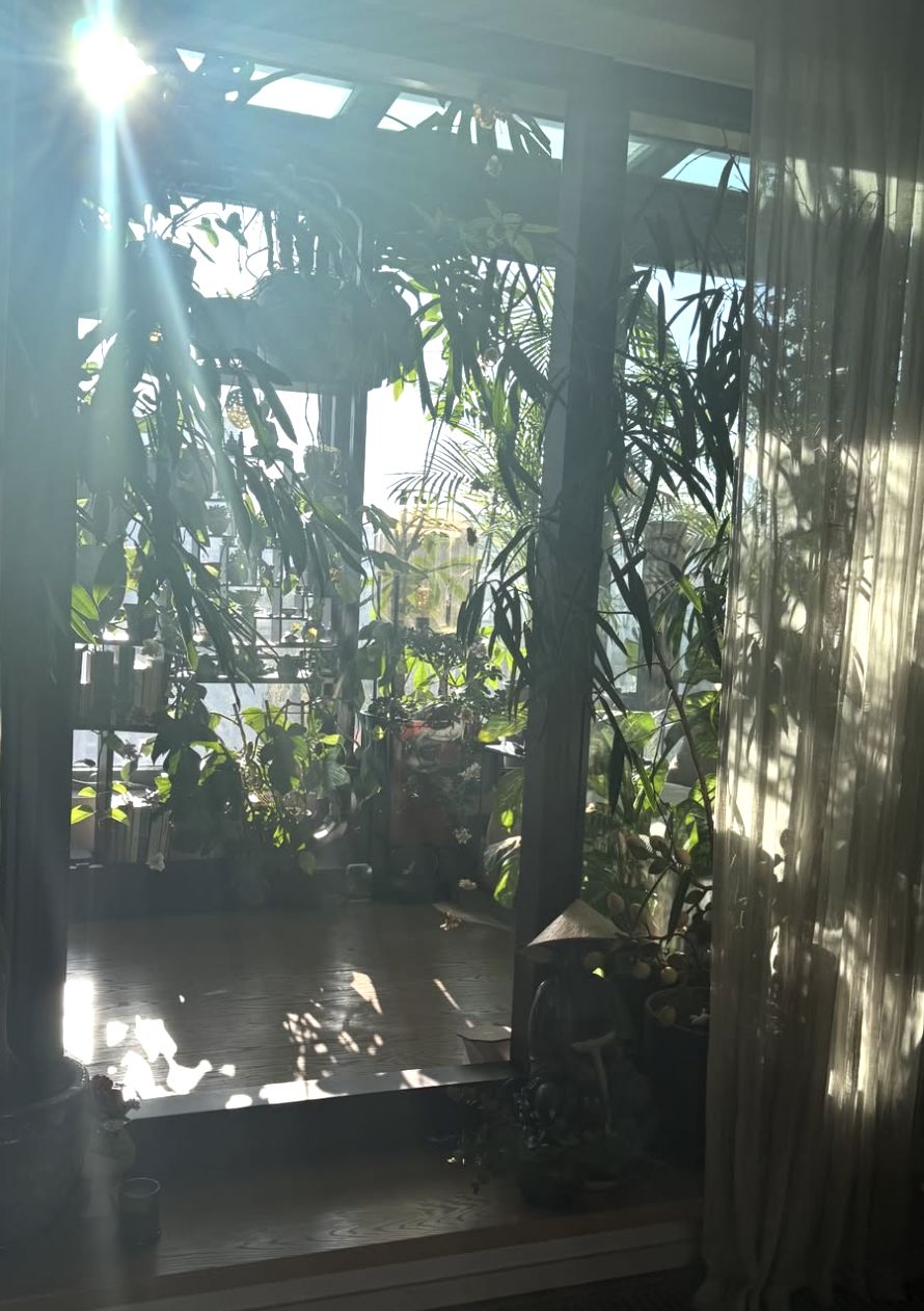 Taras Katarzyny Zielińskiej