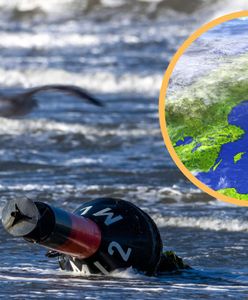 Niepokojące, co dzieje się w Szwecji. Morze Bałtyckie zagrożone