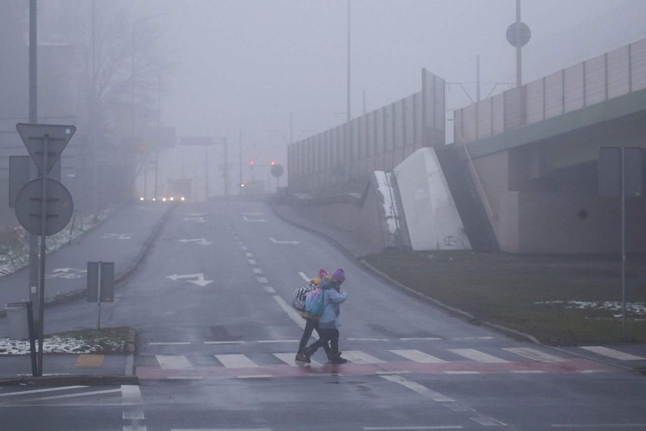 Wielkopolska: Gęsta mgła. IMGW ostrzega nie tylko kierowców. Może być bardzo niebezpiecznie