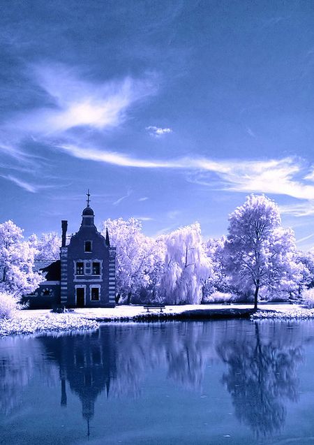 Niebieskie inspiracje fotografów [galeria] 7